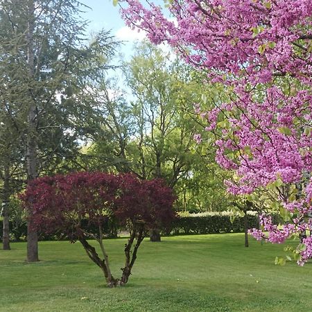 Le Logis De Lange Apt Les Aigrettes Saint-Hilaire-la-Palud Dış mekan fotoğraf