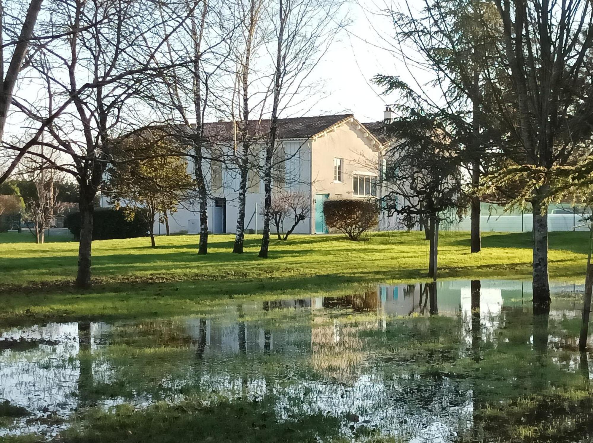 Le Logis De Lange Apt Les Aigrettes Saint-Hilaire-la-Palud Dış mekan fotoğraf