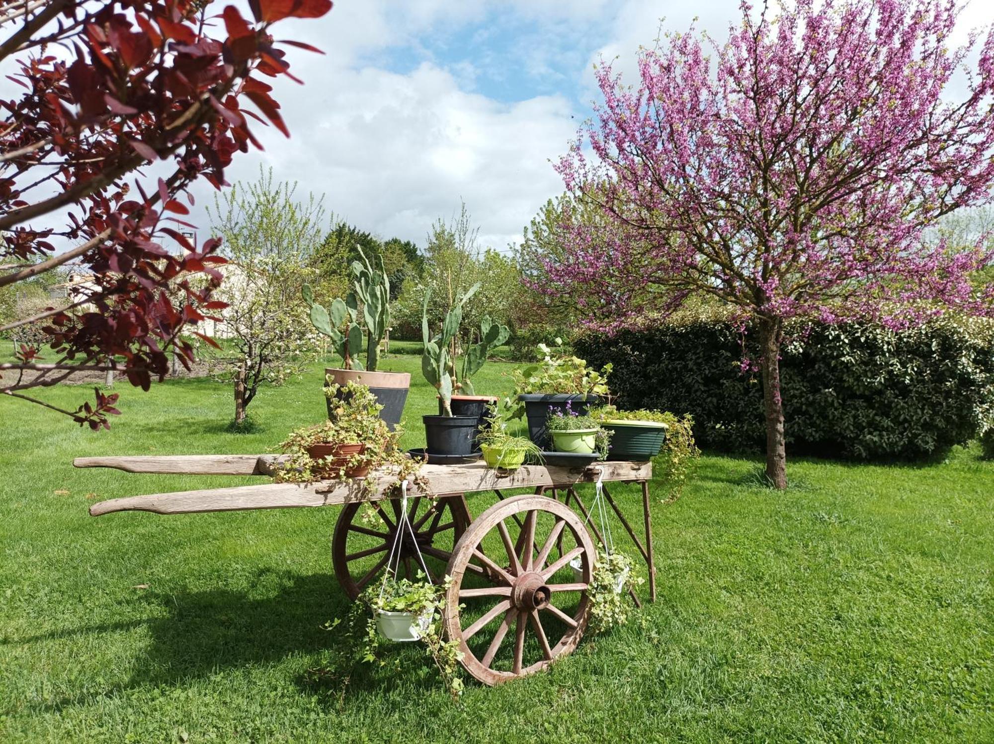 Le Logis De Lange Apt Les Aigrettes Saint-Hilaire-la-Palud Dış mekan fotoğraf